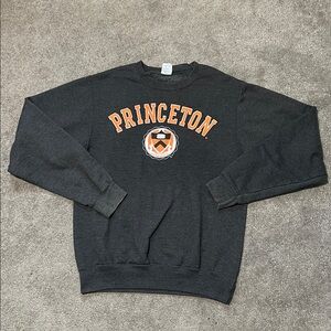 Vintage Princeton Crewneck Sweatshirt Grey size small